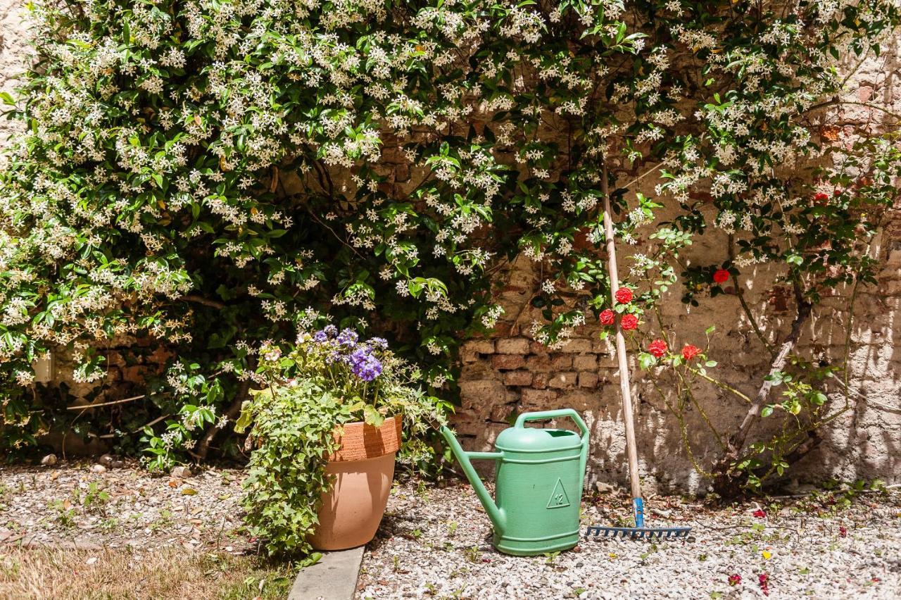 Hostly - Garden House Near The Tower - Historical House With Private Garden Lejlighed Pisa Eksteriør billede